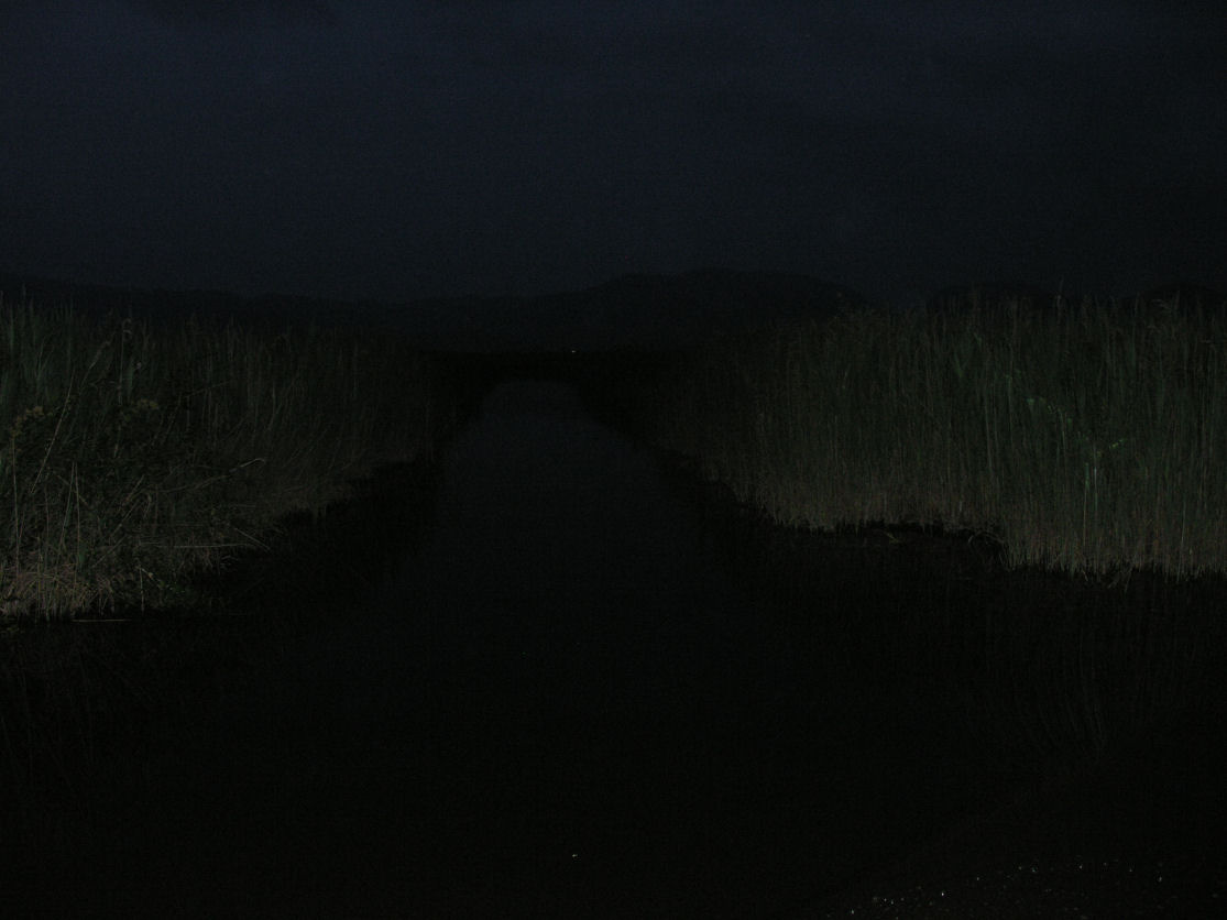 Tramonti sul lago di Massaciuccoli